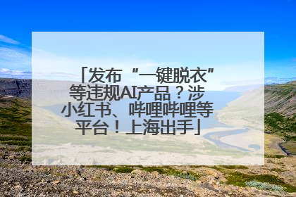发布“一键脱衣”等违规AI产品？涉小红书、哔哩哔哩等平台！上海出手